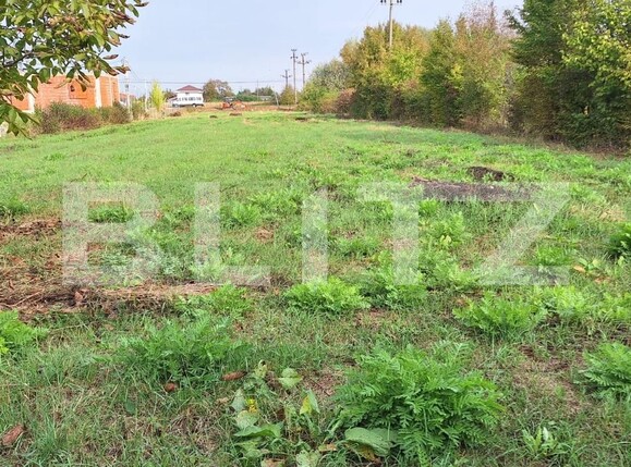 Teren de vânzare Mărtineşti - 127403TV | BLITZ Satu Mare | Poza1