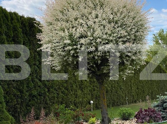 Casa de vânzare 5 camere Exterior Est - 127650CV | BLITZ Satu Mare | Poza13