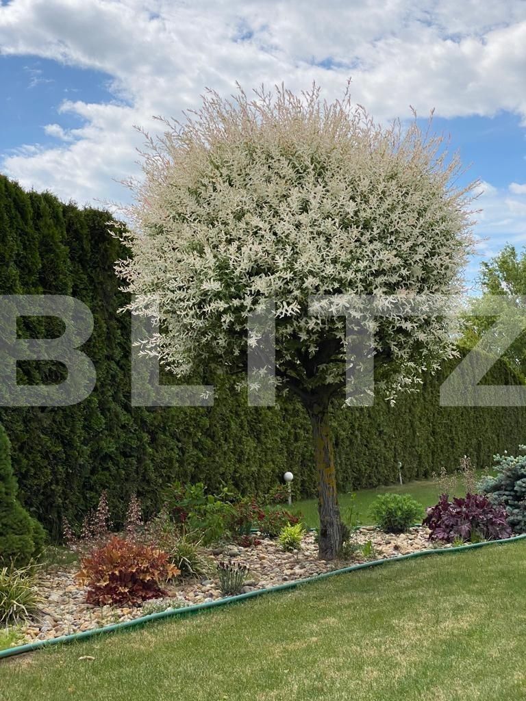 Casa de vânzare 5 camere Exterior Est - 127650CV | BLITZ Satu Mare | Poza13