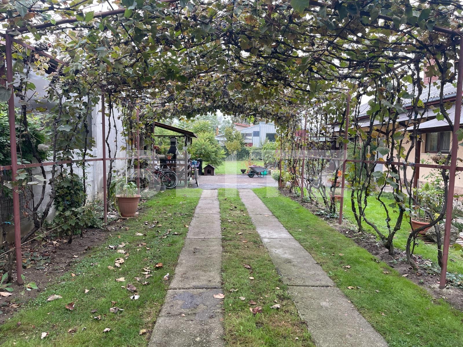 Casa de vânzare 3 camere Exterior Est - 128155CV | BLITZ Satu Mare | Poza3