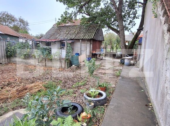 Casa de vânzare 5 camere Nord - 128280CV | BLITZ Satu Mare | Poza13