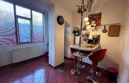 Apartament zona centrala 3 camere + 100 mp gradina privata + terasa 