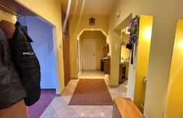 Apartament zona centrala 3 camere + 100 mp gradina privata + terasa 