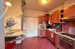 Apartament zona centrala 3 camere + 100 mp gradina privata + terasa 