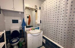 Apartament zona centrala 3 camere + 100 mp gradina privata + terasa 