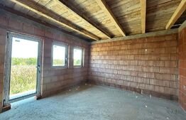 Casa in rosu suprafata 100 mp + 250 mp teren Martinesti