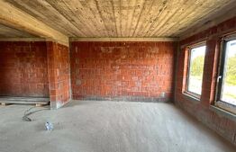 Casa in rosu suprafata 100 mp + 250 mp teren Martinesti