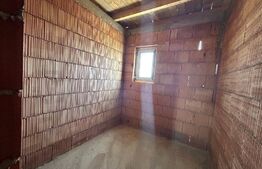 Casa in rosu suprafata 100 mp + 250 mp teren Martinesti