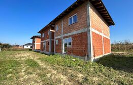 Casa in rosu suprafata 100 mp + 250 mp teren Martinesti