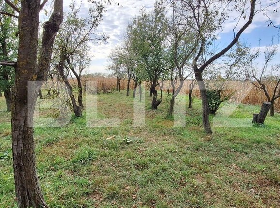 Casa de vânzare 3 camere Periferie - 128496CV | BLITZ Satu Mare | Poza2