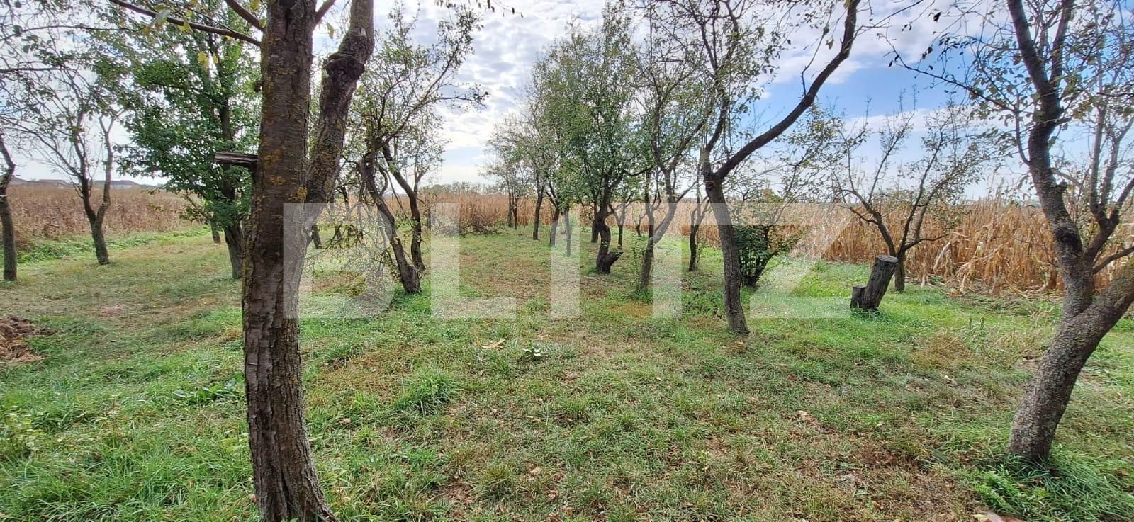 Casa de vânzare 3 camere Periferie - 128496CV | BLITZ Satu Mare | Poza2