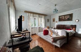 Casa cu etaj 200 mp + 40 de ari teren intravilan In Botiz strada principala 