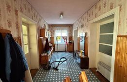 Casa cu etaj 200 mp + 40 de ari teren intravilan In Botiz strada principala 