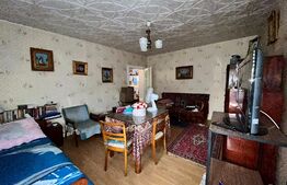 Casa cu etaj 200 mp + 40 de ari teren intravilan In Botiz strada principala 