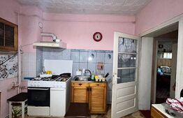 Casa cu etaj 200 mp + 40 de ari teren intravilan In Botiz strada principala 