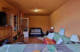 Apartament 2 camere, zona Micro14