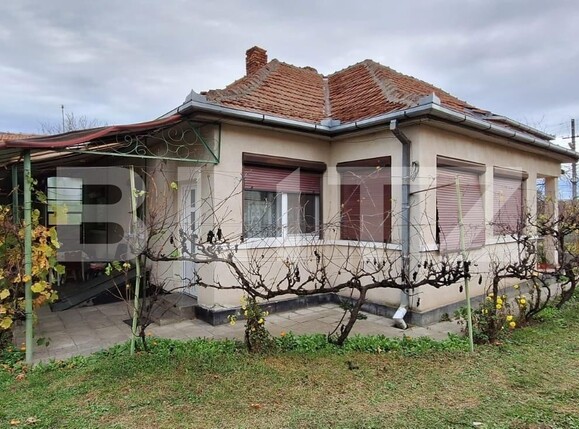 Casa de vânzare 4 camere Exterior Sud - 129951CV | BLITZ Satu Mare | Poza1