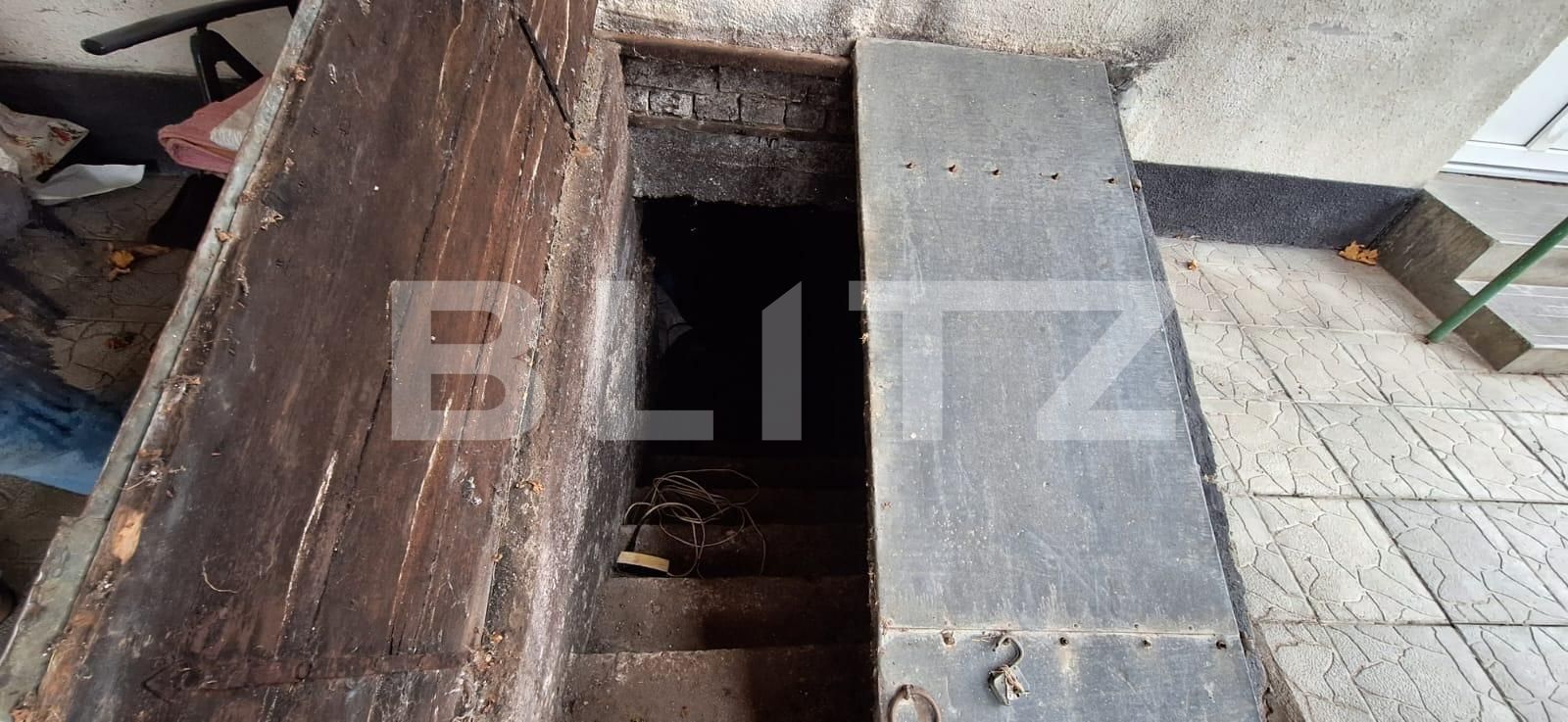 Casa de vânzare 4 camere Exterior Sud - 129951CV | BLITZ Satu Mare | Poza10