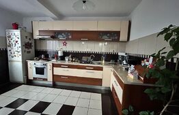 Casa cu 4 camere  pe 2 nivele cu 180 mp uitii + 7 ari teren Str Careiului 