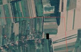 Teren Intravilan în Viile Satu Mare