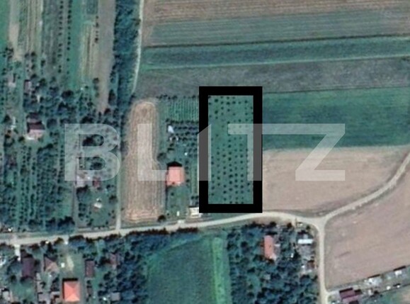 Teren de vânzare Sud-Est - 130619TV | BLITZ Satu Mare | Poza1