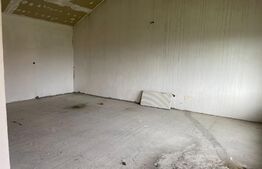 Vânzare Casă Spațioasă cu Două Unități Locative Separate - Botiz