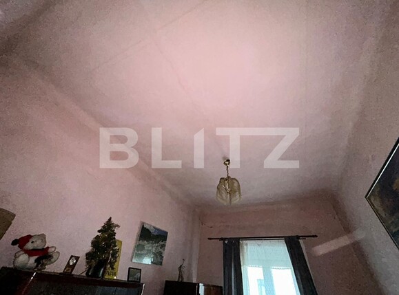 Casa de vânzare 3 camere Semicentral - 130775CV | BLITZ Satu Mare | Poza12