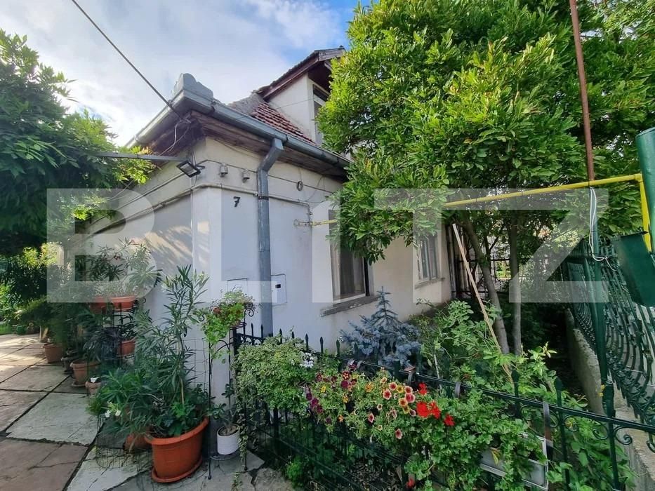 Casa de vânzare 7 camere Burdea - 130971CV | BLITZ Satu Mare | Poza9