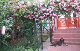 Casa spațioasă și rafinată cu multiple facilități în zona Piața Mica