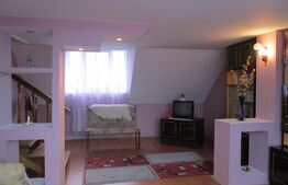 Casa spațioasă și rafinată cu multiple facilități în zona Piața Mica