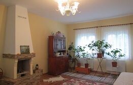 Casa spațioasă și rafinată cu multiple facilități în zona Piața Mica