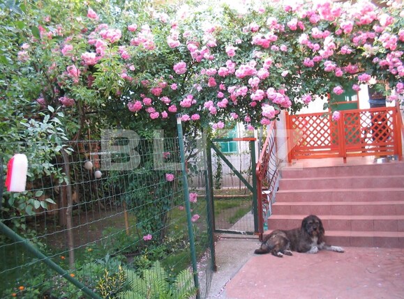 Casa de vânzare 8 camere Semicentral - 131025CV | BLITZ Satu Mare | Poza4