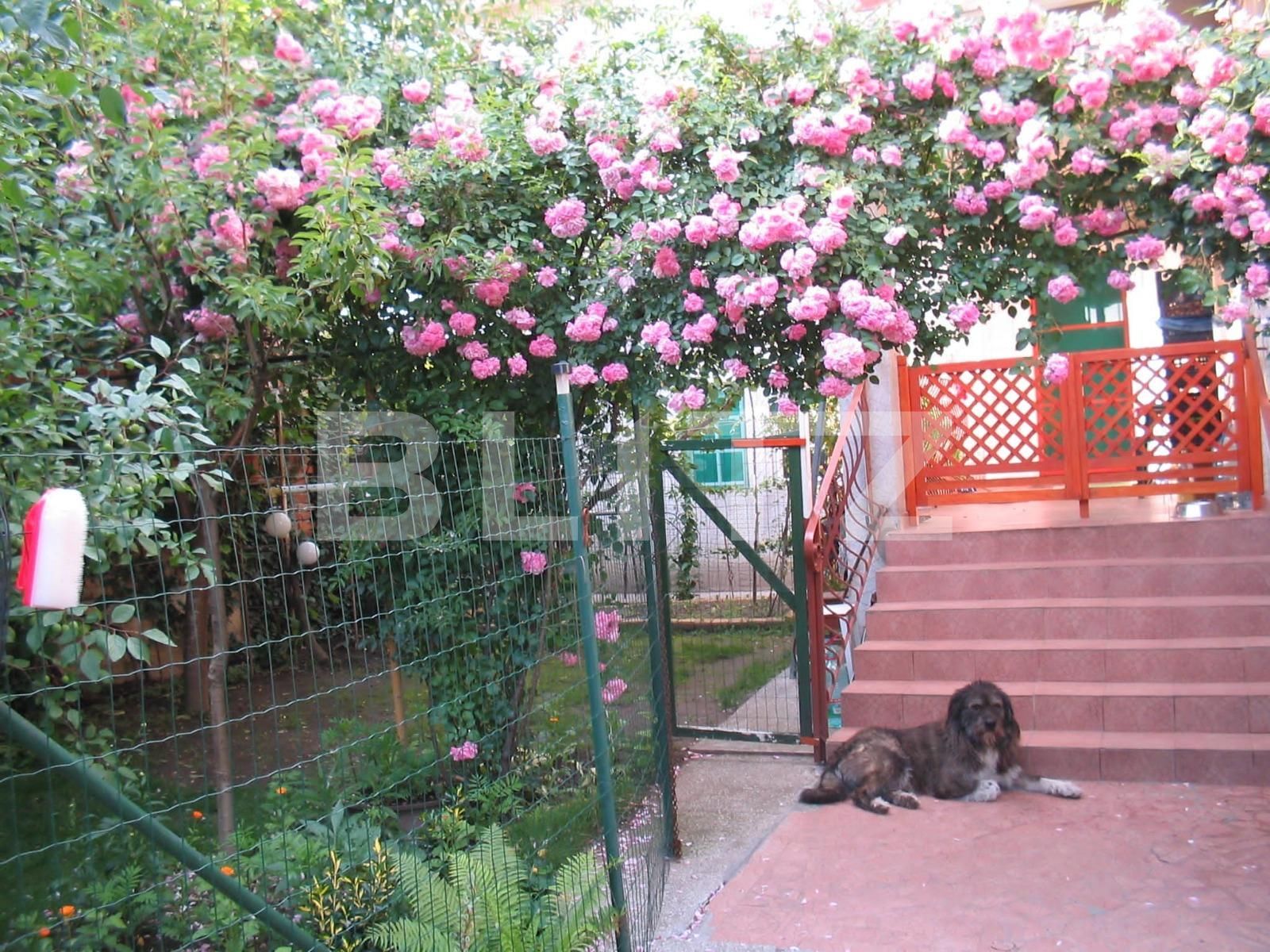 Casa de vânzare 8 camere Semicentral - 131025CV | BLITZ Satu Mare | Poza4