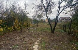 Casa 2 camere Piata de vechituri