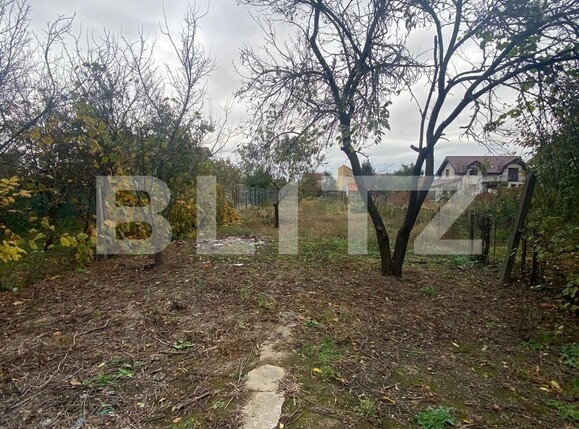 Casa de vânzare 3 camere Nord - 131056CV | BLITZ Satu Mare | Poza8