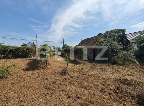 Casa de vânzare 3 camere Exterior Sud - 131157CV | BLITZ Satu Mare | Poza6