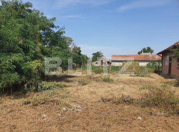 Casa de vânzare 3 camere Exterior Sud - 131157CV | BLITZ Satu Mare | Poza5