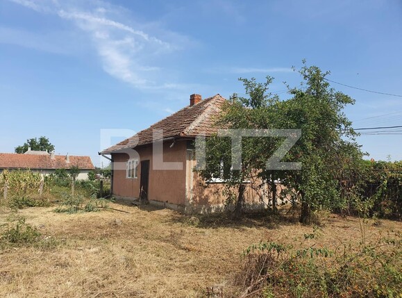 Casa de vânzare 3 camere Exterior Sud - 131157CV | BLITZ Satu Mare | Poza4
