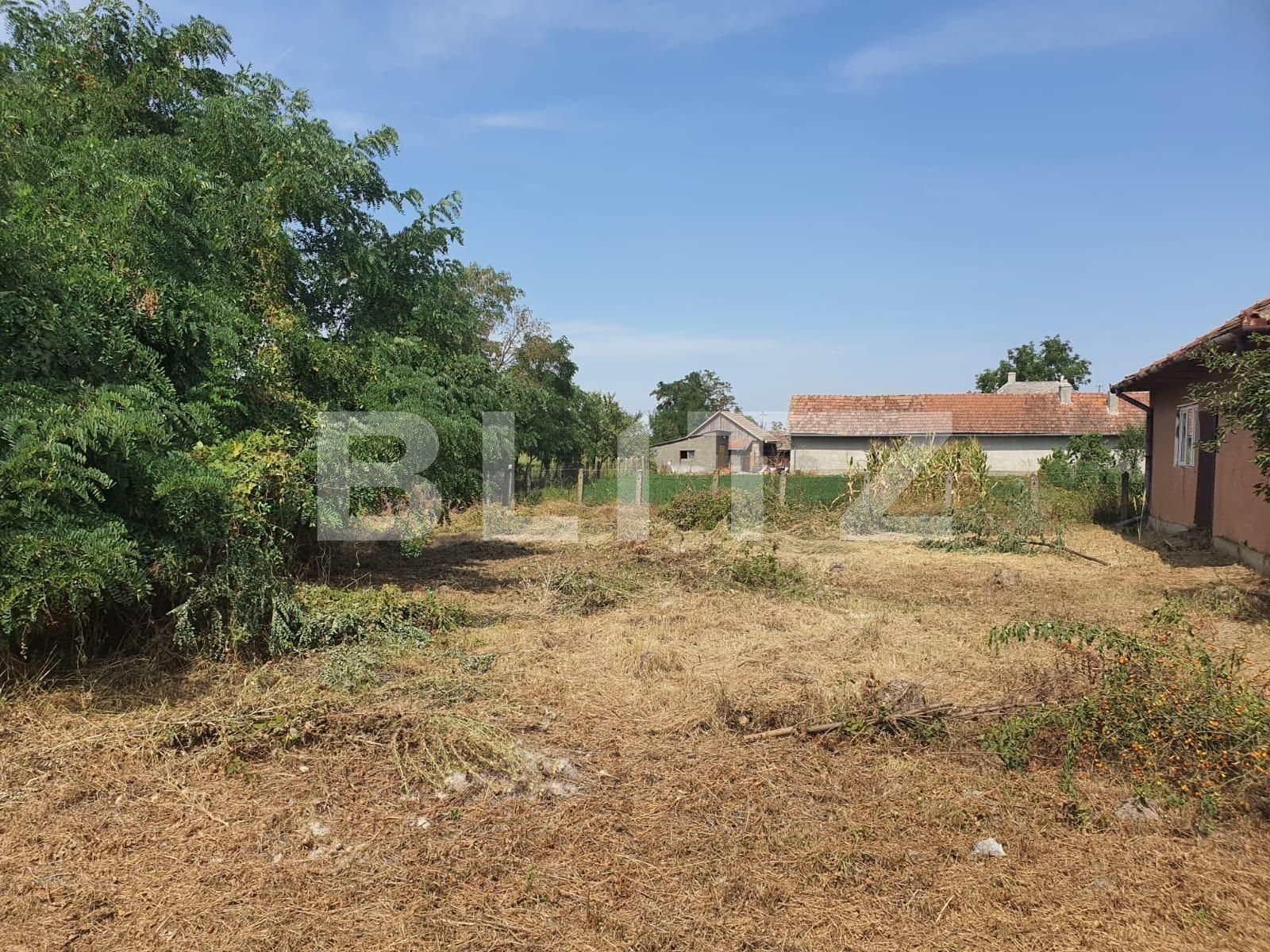 Casa de vânzare 3 camere Exterior Sud - 131157CV | BLITZ Satu Mare | Poza5