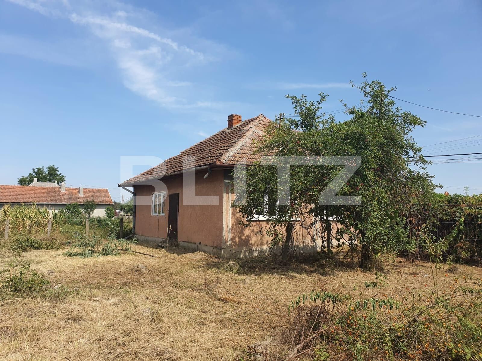 Casa de vânzare 3 camere Exterior Sud - 131157CV | BLITZ Satu Mare | Poza4