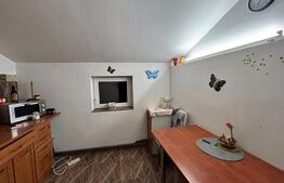 Casa pe 2 nivele suprafata 240 mp utili + 475 mp teren 