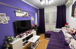 Apartament 4 Camere Decomandate, Cartier Micro 17