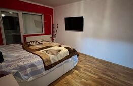 Apartament 4 Camere Decomandate, Cartier Micro 17