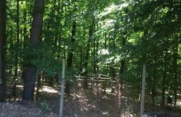 Oportunitate Unică: 2 Parcele Adiacente, Ideal pentru Rezidență sau Investiție