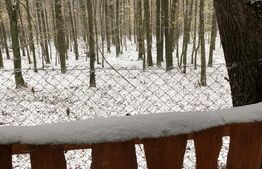 Oportunitate Unică: 2 Parcele Adiacente, Ideal pentru Rezidență sau Investiție