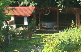 Oportunitate Unică: 2 Parcele Adiacente, Ideal pentru Rezidență sau Investiție