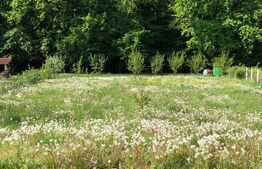 Oportunitate Unică: 2 Parcele Adiacente, Ideal pentru Rezidență sau Investiție