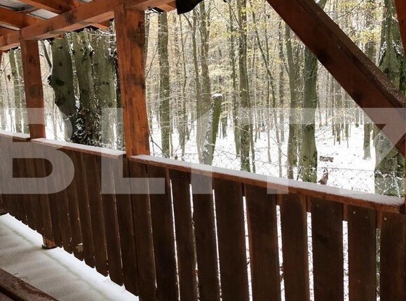 Teren de vânzare Exterior Est - 132100TV | BLITZ Satu Mare | Poza1