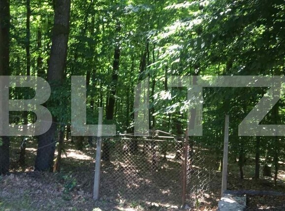 Teren de vânzare Exterior Est - 132100TV | BLITZ Satu Mare | Poza2