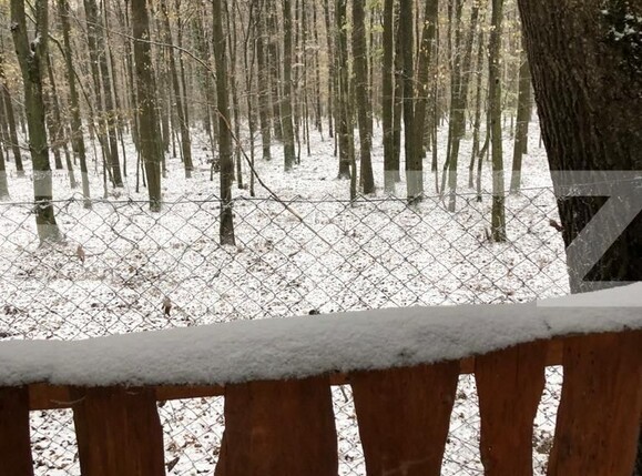 Teren de vânzare Exterior Est - 132100TV | BLITZ Satu Mare | Poza4